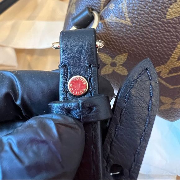 LOUIS VUITTON (LV) PALM SPRINGS MINI BACKPACK - Picture 11 of 14